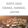 رایزنی با دولت ژاپن برای مشخص شدن نحوه حضور کشورمان در اکسپو ۲۰۲۵ اوزاکا